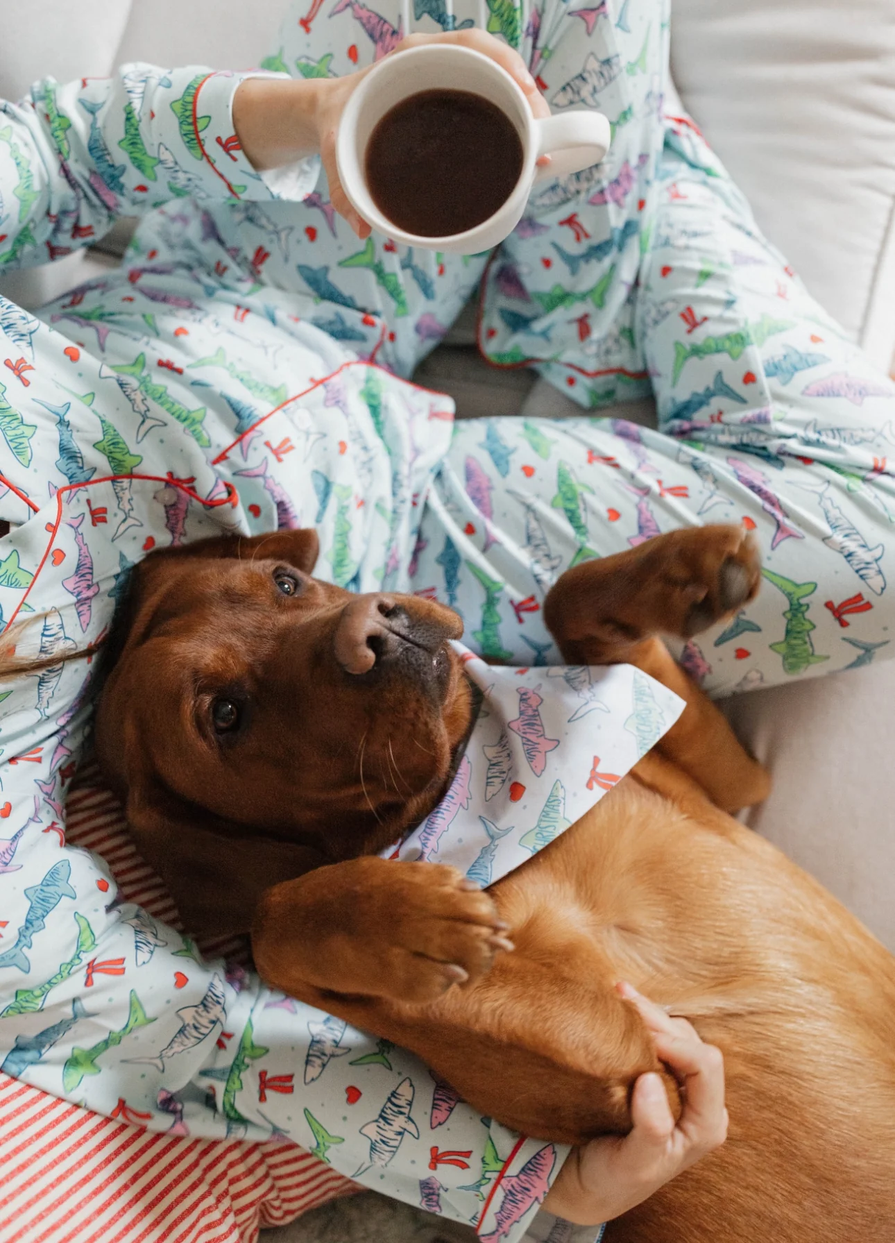 DOG BANDANA REVERSIBLE - Image 2