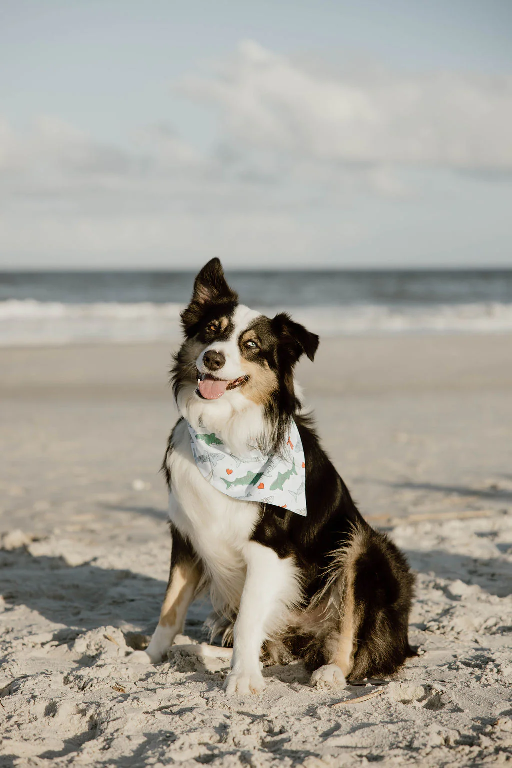 DOG BANDANA REVERSIBLE - Image 3